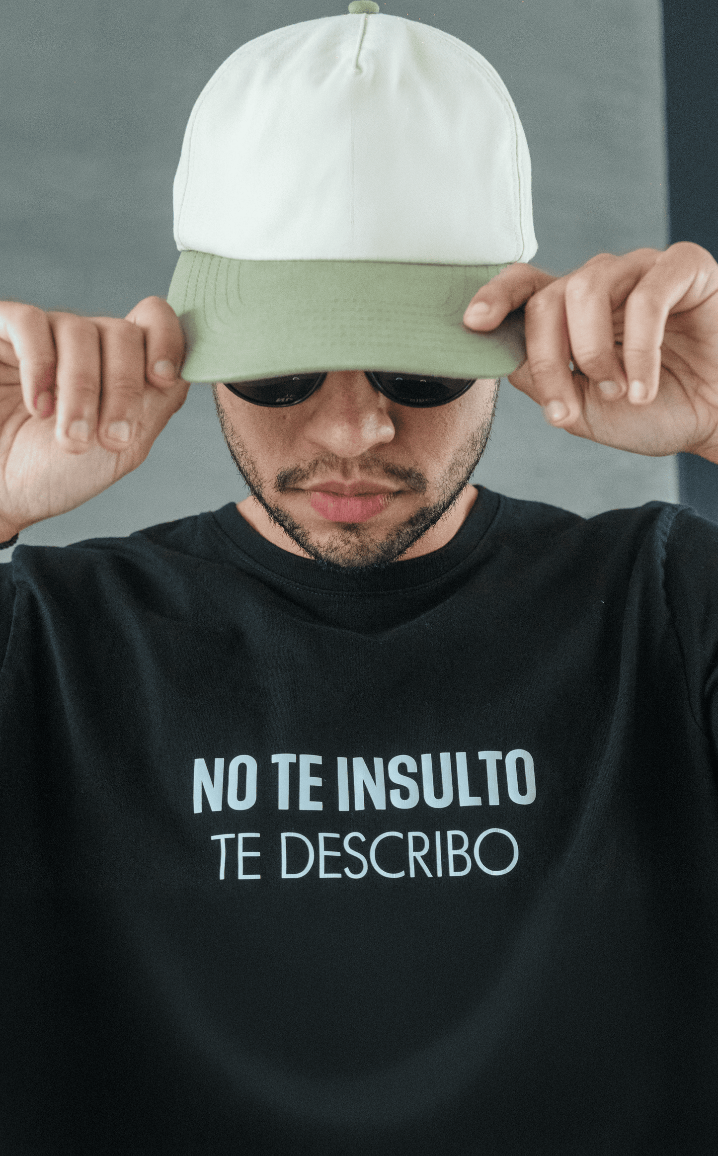 NO TE INSULTO, TE DESCRIBO
