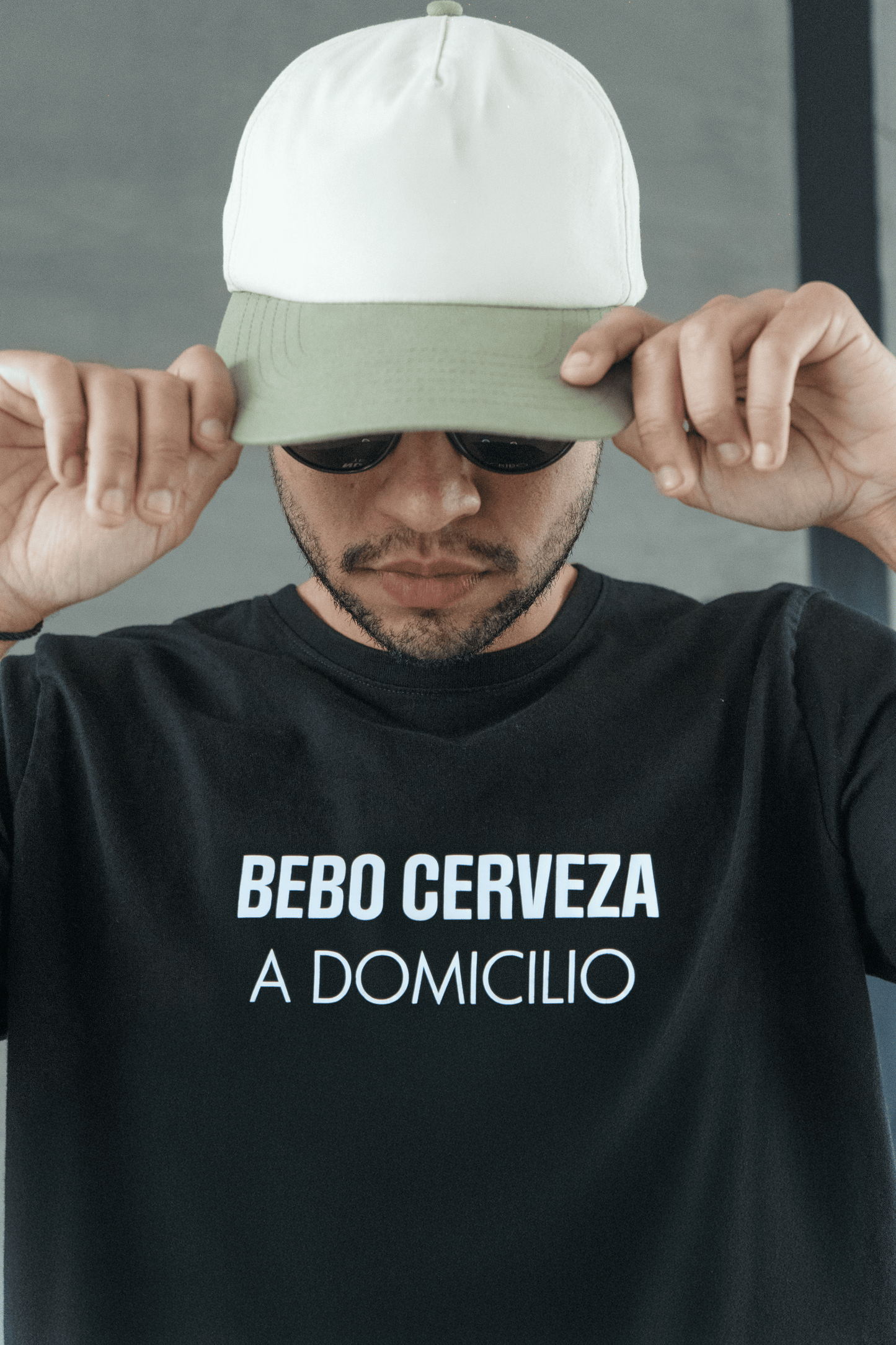 BEBO CERVEZA A DOMICILIO